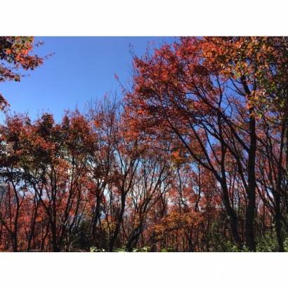 S__20635730.jpg