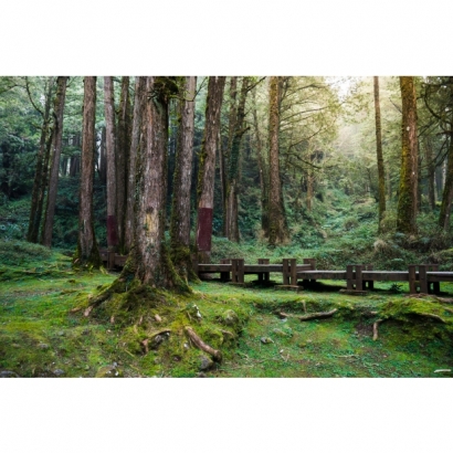 太平山步道.jpg