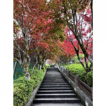 LINE_ALBUM_下載用_220620_18.jpg