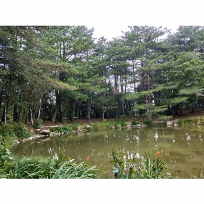 IMG20180801150837.jpg