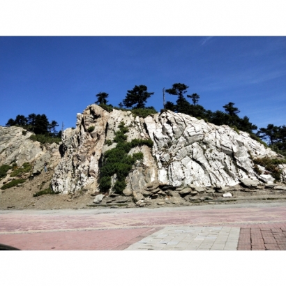 415517.jpg