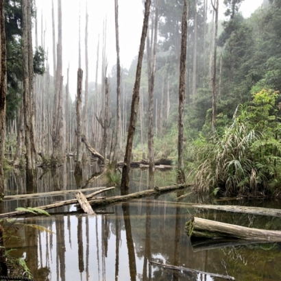 S__20627551.jpg