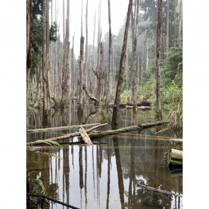 S__20627549.jpg