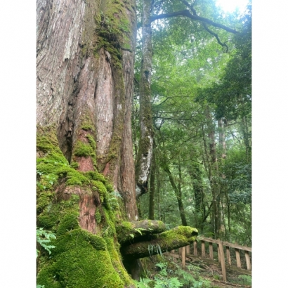 LINE_ALBUM_20220916鎮西堡馬胎古道_220923_40.jpg
