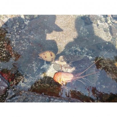 澎湖 _14_.JPG